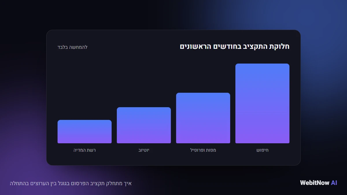 איך מתחלק תקציב הפרסום בגוגל בין הערוצים בהתחלה